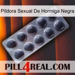 Píldora Sexual De Hormiga Negra 30